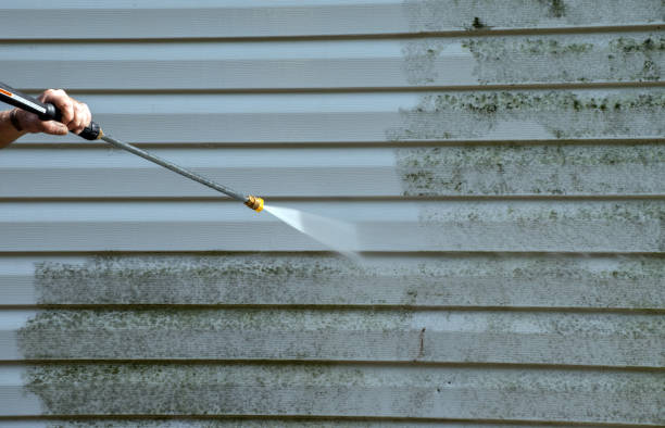 Best Professional Mold Removal  in Gentry, AR