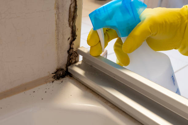 Crawl Space Mold Removal in Gentry, AR
