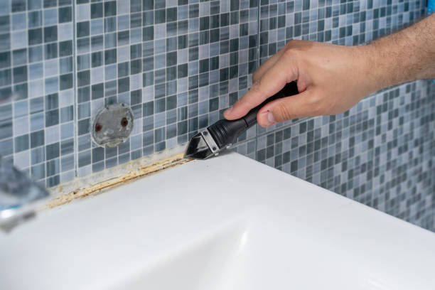 Best Toxic Mold Removal  in Gentry, AR